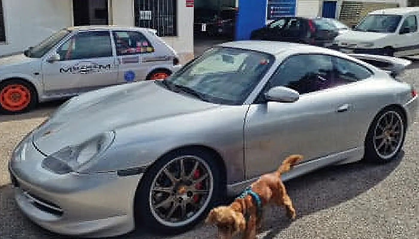 Porsche 911 prateado no parque da oficina, com um cão ao lado